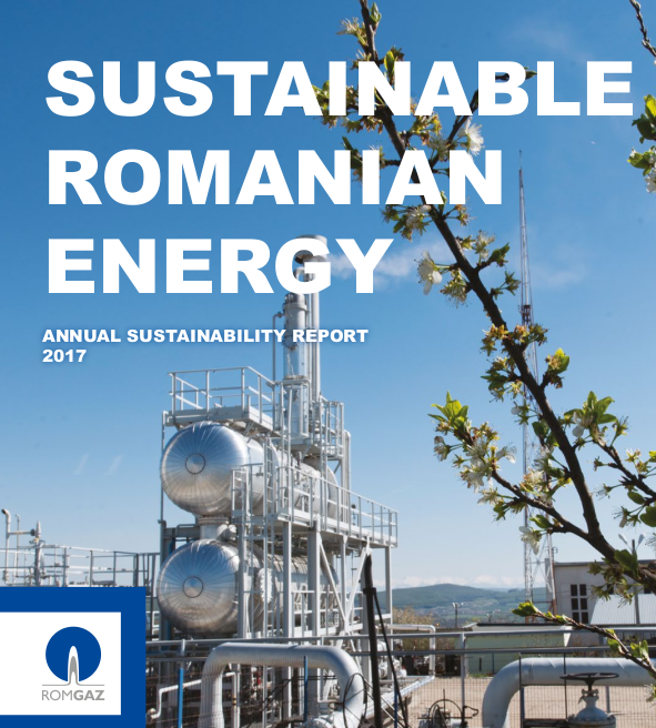 2017 Sustainability Report 