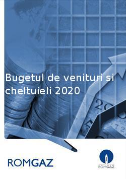 2020 Income and Expenditure Budget of SNGN Romgaz SA Medias