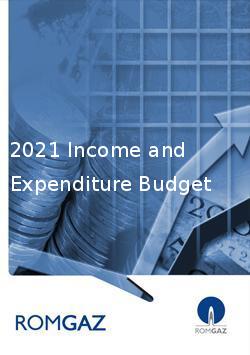 2021 Income and Expenditure Budget of SNGN Romgaz SA Medias