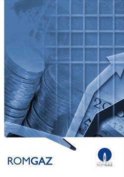 2022 Income And Expenditure Budget Of SNGN Romgaz SA Medias
