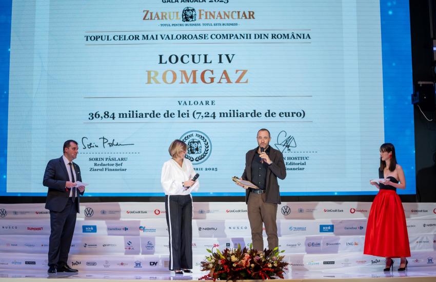 Ziarul Financiar - Topul celor mai valoroase companii din România