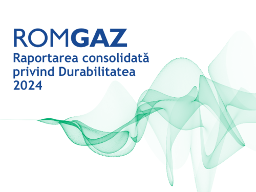 Raport privind Durabilitatea 2024