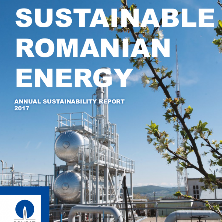 2017 Sustainability Report 