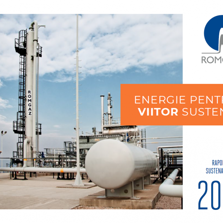 Raport de Sustenabilitate 2020