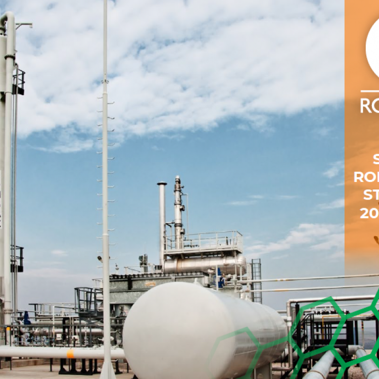 S.N.G.N. ROMGAZ S.A. Strategy 2021 - 2030