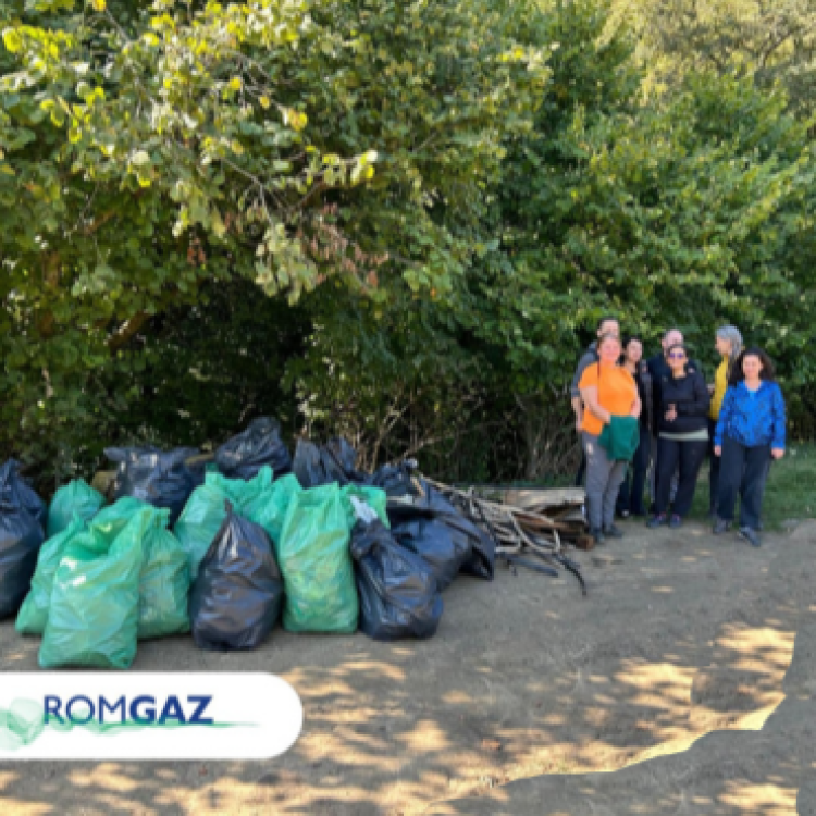 ROMGAZ joined Let's Do It, Romania!